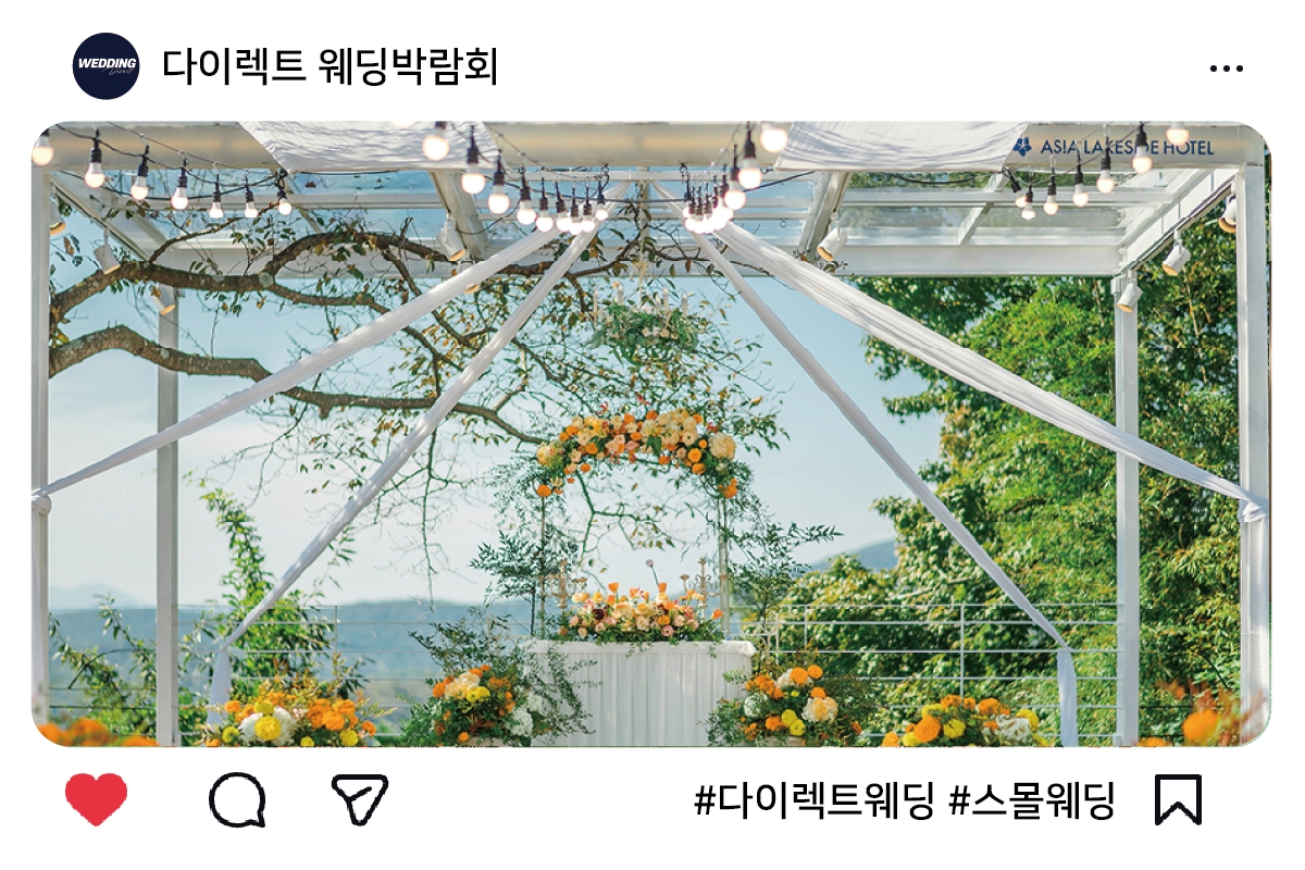 대지 12
